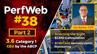 Selecting the right ECMO cannulation. ECMO and hemodynamic monitoring