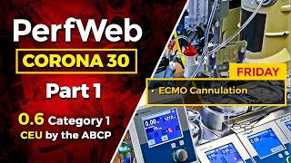 CORONA 30 ECMO Cannulation Extracorporeal Membrane Oxygenation